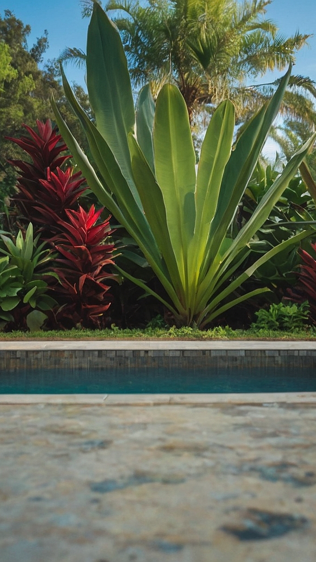 Resort-Inspired Landscaping: Top Plants around the Pool.